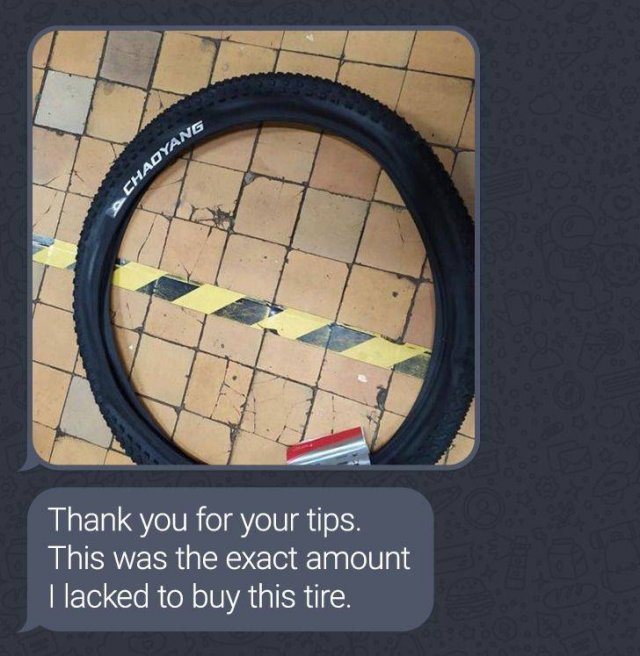 Wholesome Stories (42 pics)