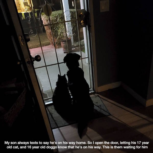 Wholesome Stories (42 pics)