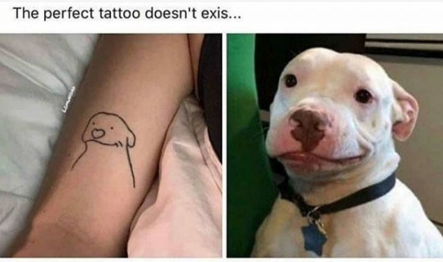 Wholesome Stories (42 pics)