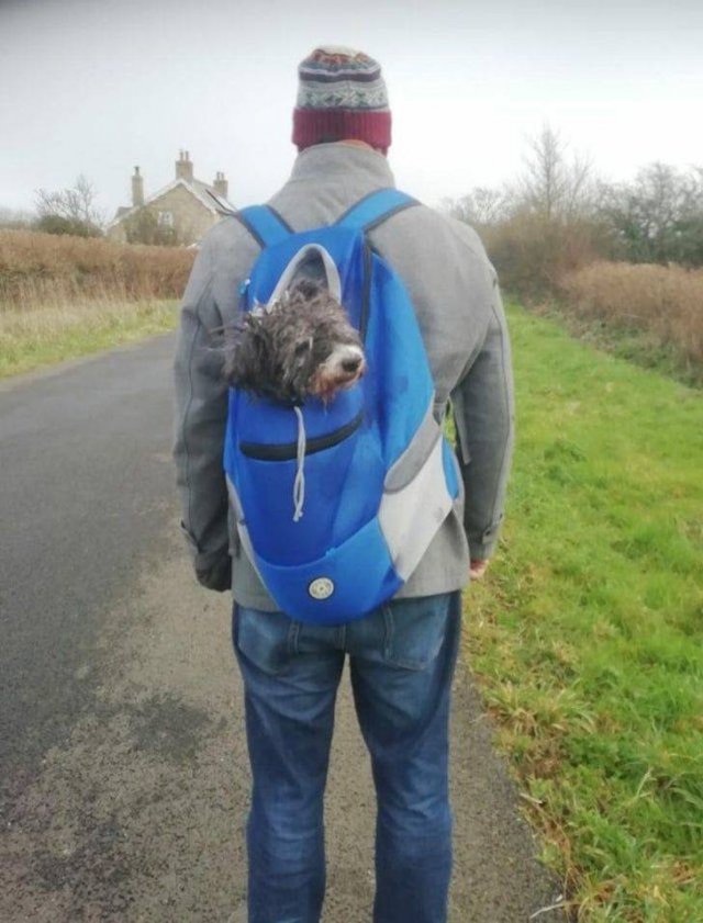 Wholesome Stories (42 pics)