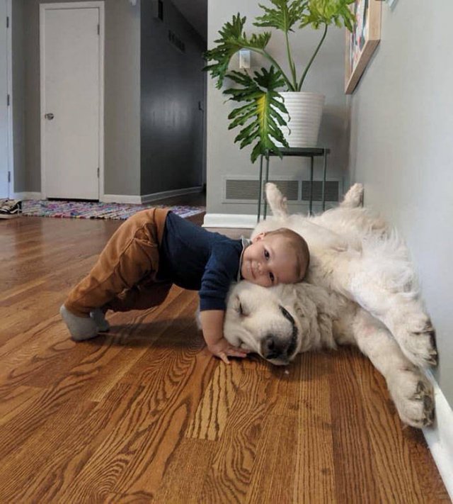 Wholesome Stories (42 pics)