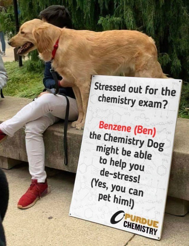 Wholesome Stories (42 pics)