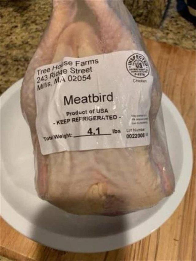 Random Funny Memes (71 pics)