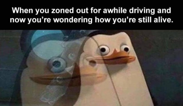 Random Funny Memes (71 pics)