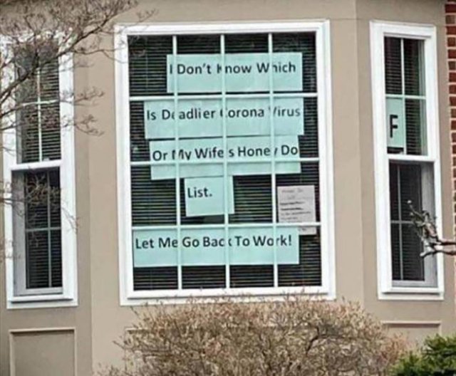 Random Funny Memes (71 pics)