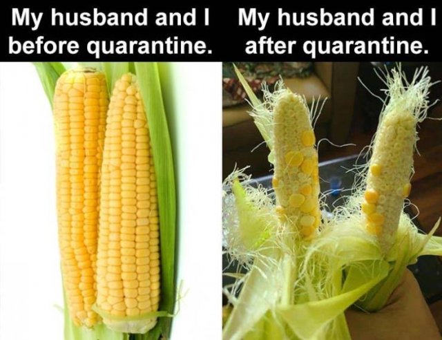 Random Funny Memes (71 pics)