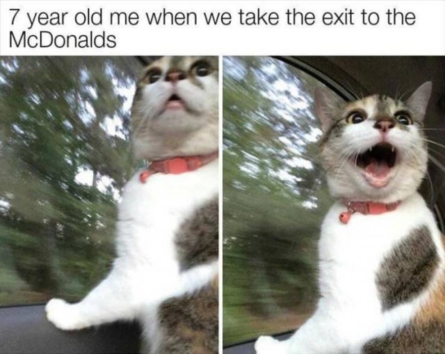 Random Funny Memes (71 pics)