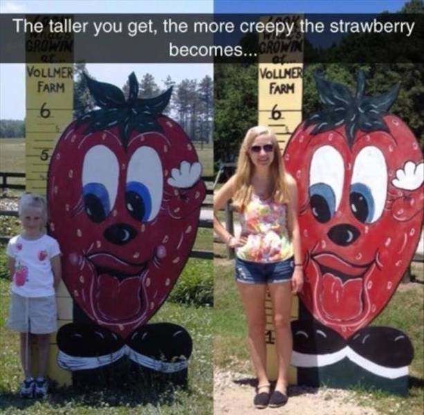 Random Funny Memes (71 pics)