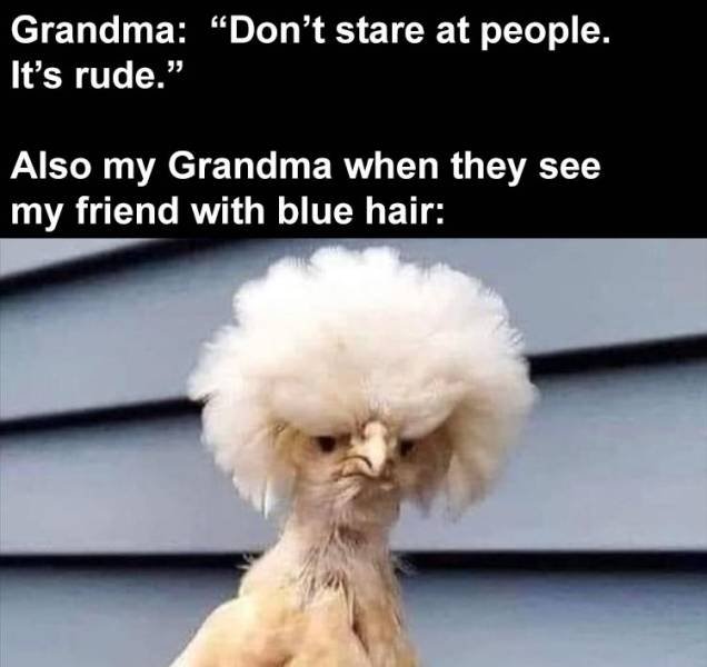 Random Funny Memes (71 pics)