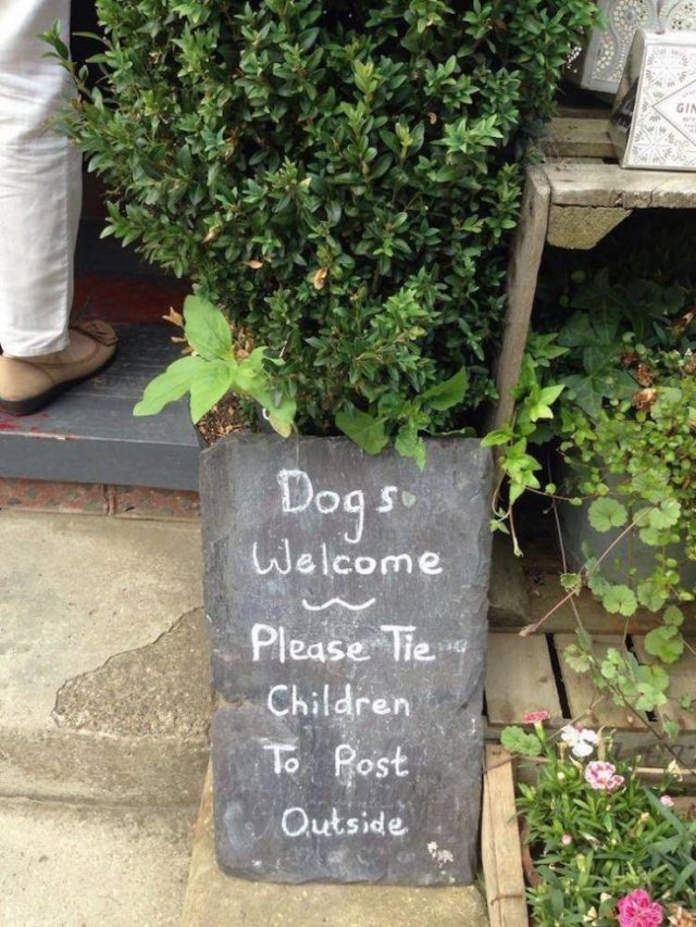 Random Funny Memes (71 pics)