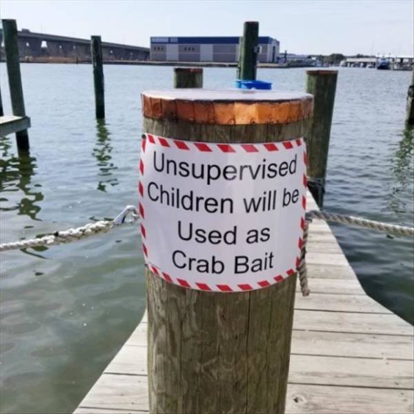 Random Funny Memes (71 pics)