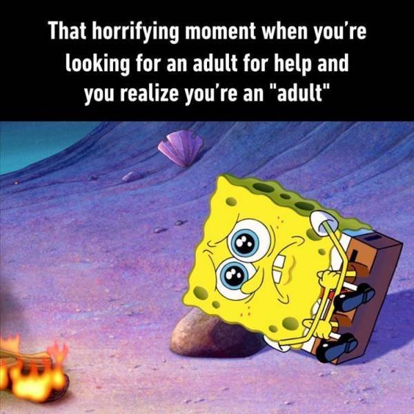 Random Funny Memes (71 pics)