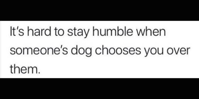 Random Funny Memes (71 pics)