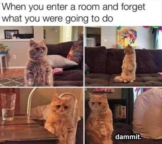 Random Funny Memes (71 pics)