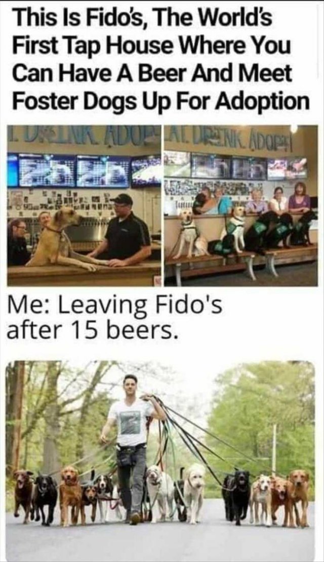 Random Funny Memes (71 pics)