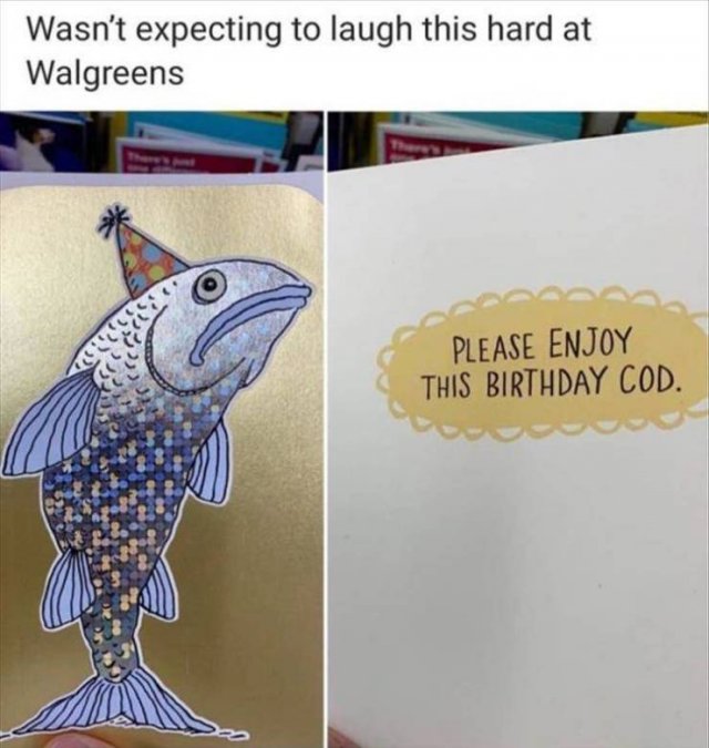 Random Funny Memes (71 pics)