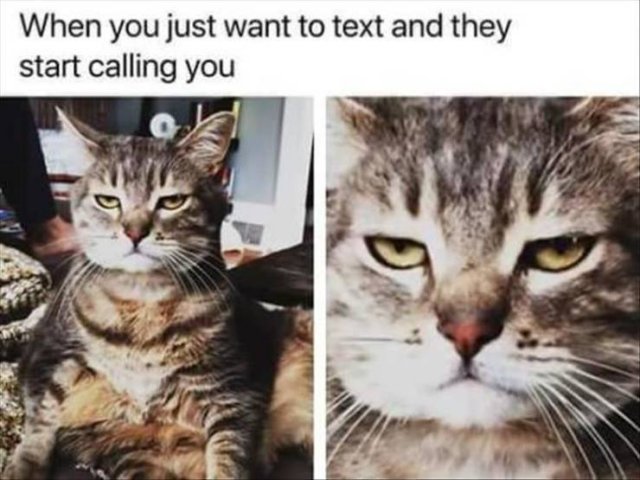 Random Funny Memes (71 pics)