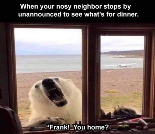 Random Funny Memes (71 pics)