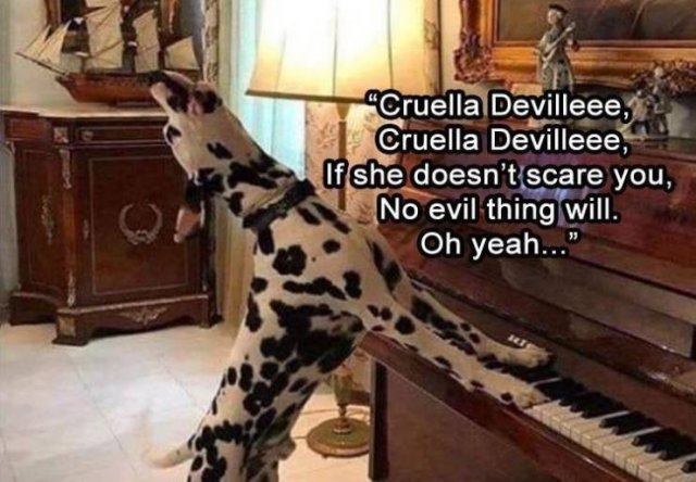 Random Funny Memes (71 pics)