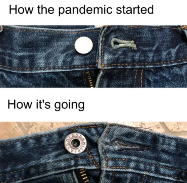Quarantine Memes (30 pics)