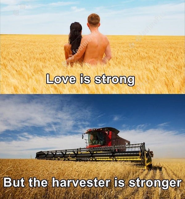 Dirty Humor (39 pics)