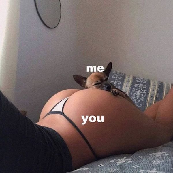 Dirty Humor (39 pics)