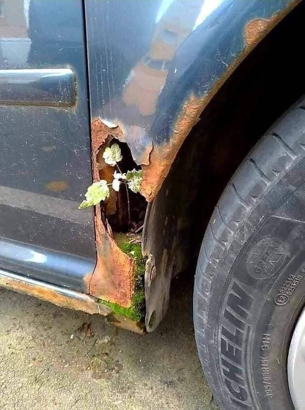 Acid Picdump 2 (88 pics)