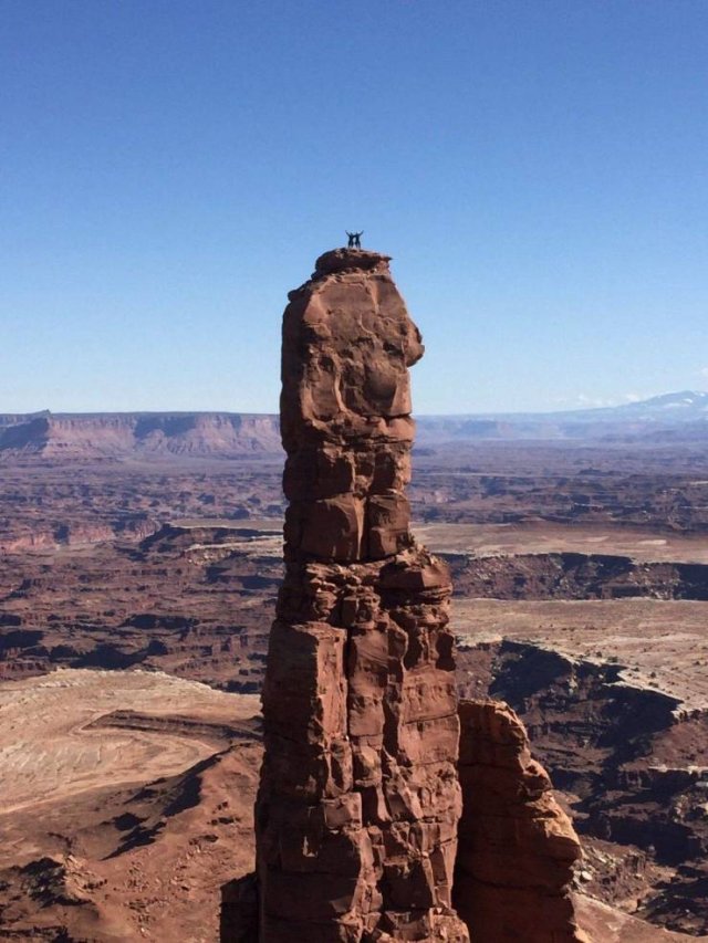 Acid Picdump 2 (88 pics)