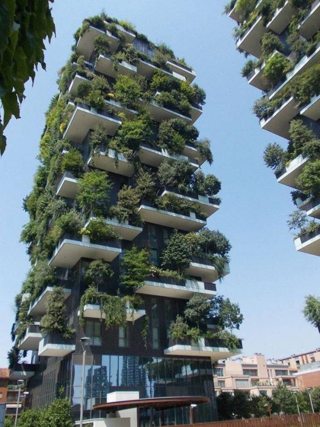 Acid Picdump 2 (88 pics)