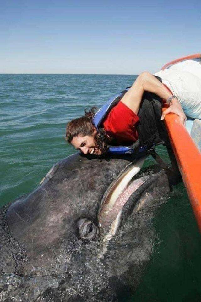 Acid Picdump 2 (88 pics)