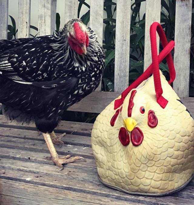Acid Picdump 2 (88 pics)