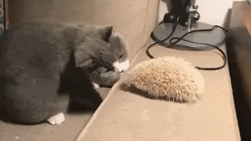 Acid Gifdump, February 24 (25 gifs)