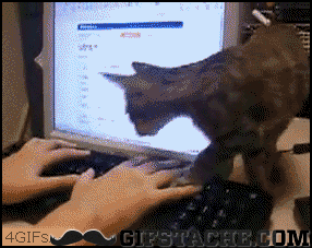 Acid Gifdump, February 24 (25 gifs)
