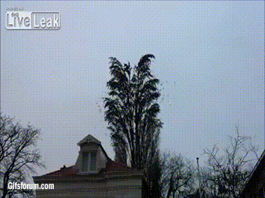Acid Gifdump, February 24 (25 gifs)