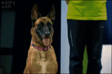 Acid Gifdump, February 24 (25 gifs)