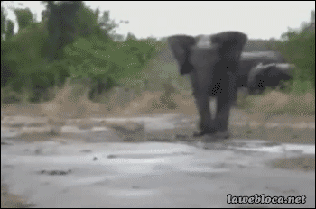 Acid Gifdump, February 24 (25 gifs)