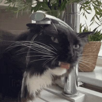 Acid Gifdump, February 24 (25 gifs)