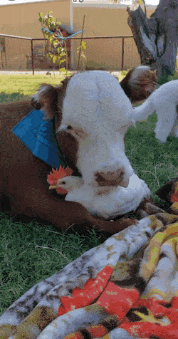 Acid Gifdump, February 24 (25 gifs)