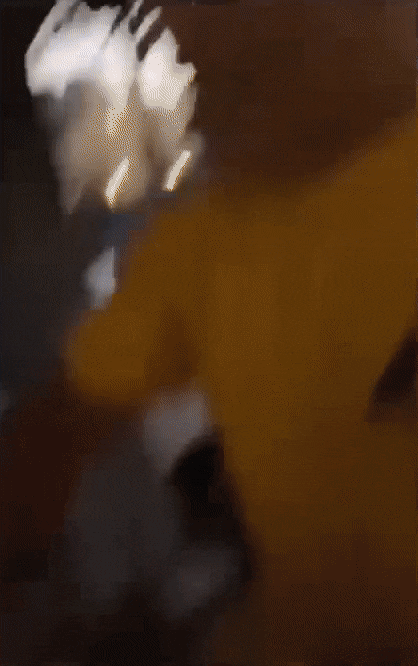 Acid Gifdump, February 24 (25 gifs)
