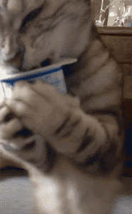 Acid Gifdump, February 24 (25 gifs)