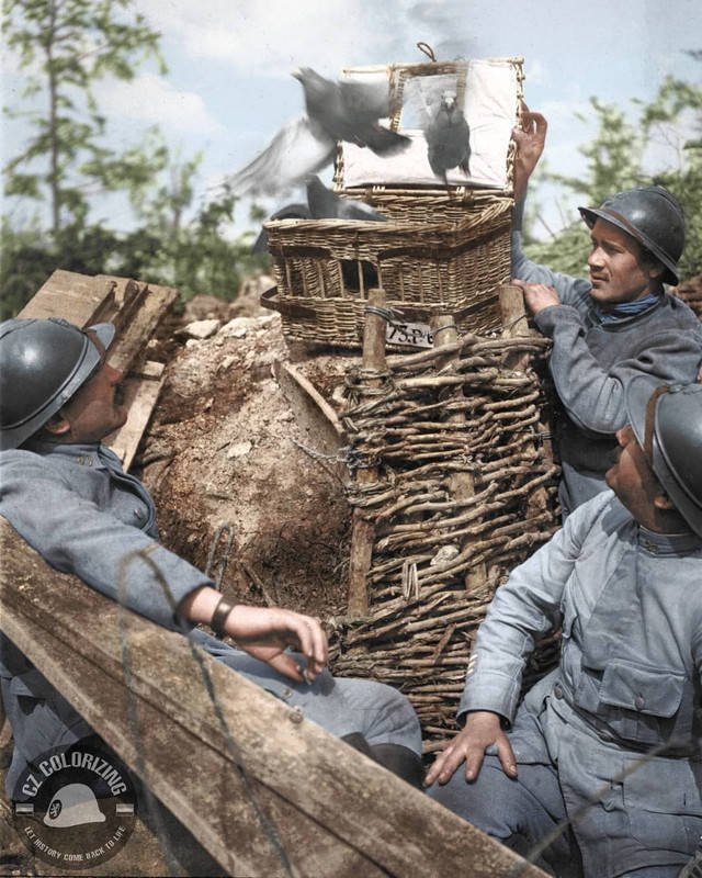 Historical Photos In Color (15 pics)