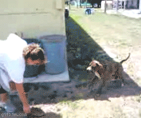 Acid Gifdump, February 26 (25 gifs)