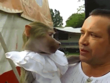 Acid Gifdump, February 26 (25 gifs)