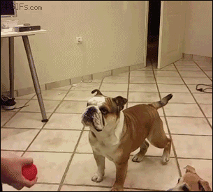Acid Gifdump, February 26 (25 gifs)