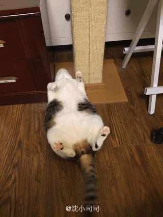 Acid Gifdump, February 26 (25 gifs)