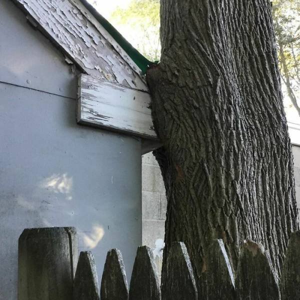 Home Inspectors Finds (38 pics) Home Inspectors Finds (38 pics)