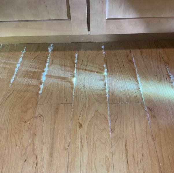 Home Inspectors Finds (38 pics) Home Inspectors Finds (38 pics)