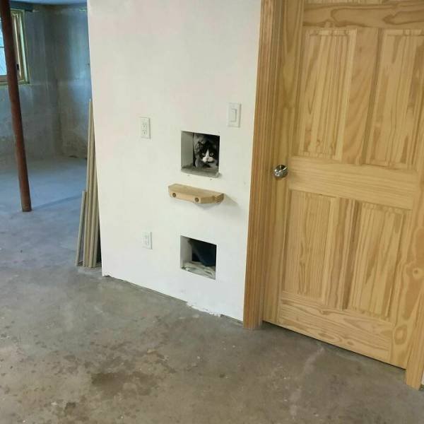 Home Inspectors Finds (38 pics) Home Inspectors Finds (38 pics)