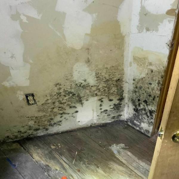 Home Inspectors Finds (38 pics) Home Inspectors Finds (38 pics)
