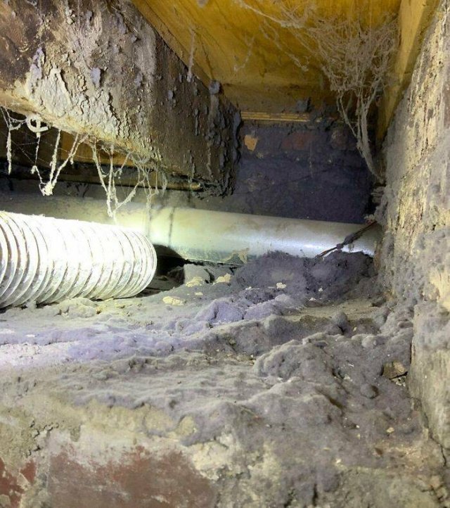 Home Inspectors Finds (38 pics) Home Inspectors Finds (38 pics)